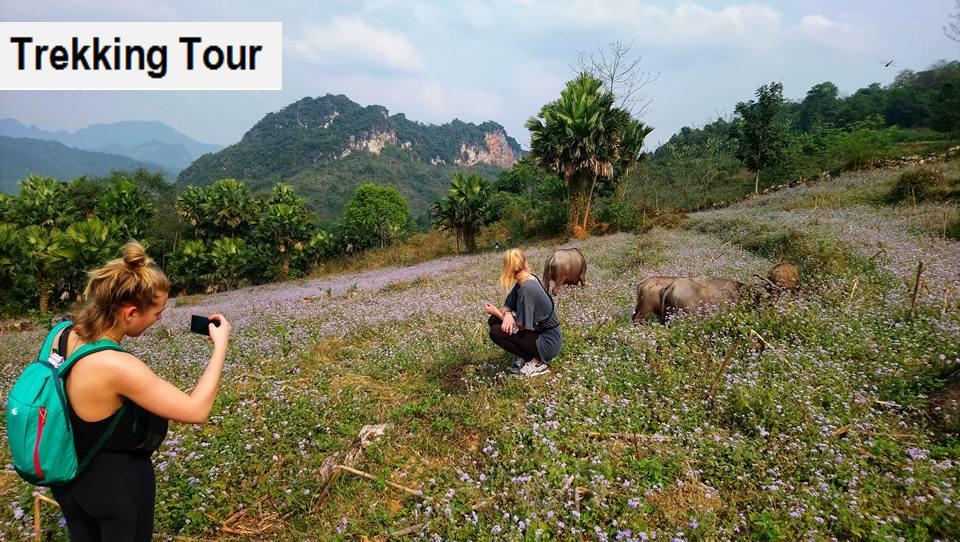 Ha Giang Amazing Hostel Esterno foto